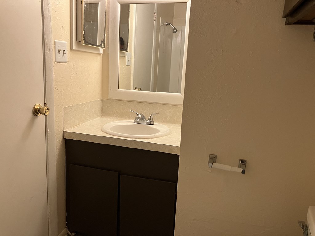 a small bathroom with a sink and a mirror