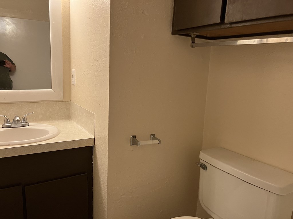 a bathroom with a toilet and a sink and a mirror