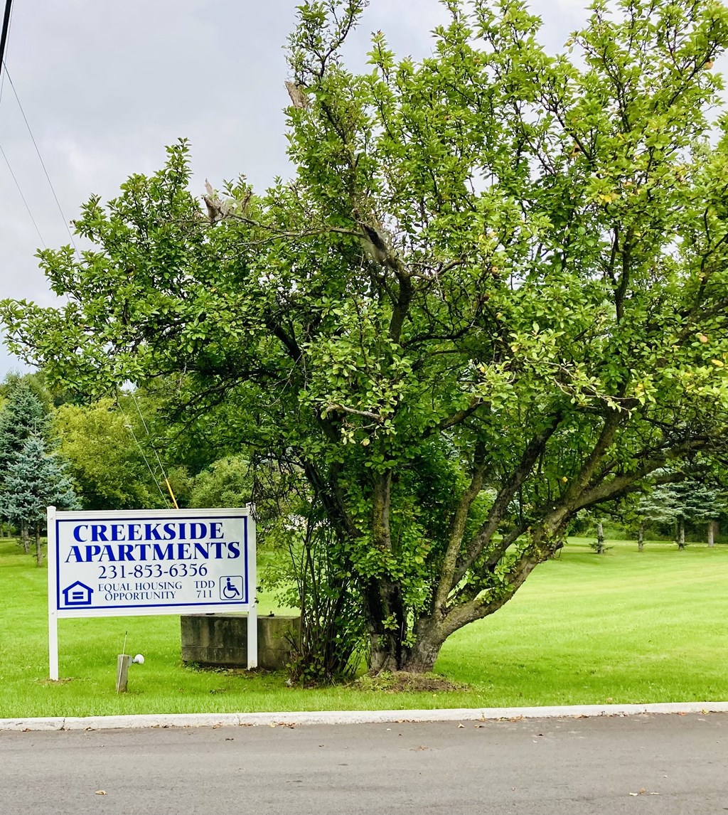 a tree in the grass next to a sign