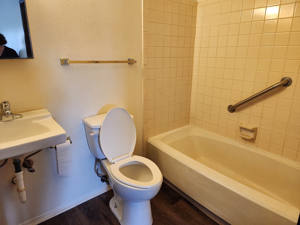 a bathroom with a toilet sink and bathtub