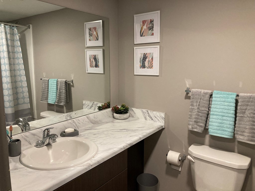 Plato's Apartments regular studio bathroom, Sheffield, Alabama