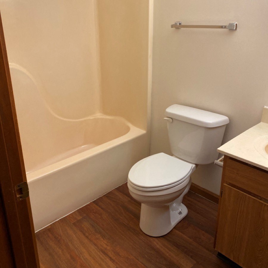 a bathroom with a toilet and a bathtub