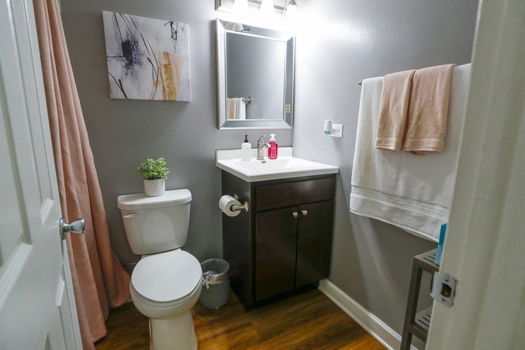 a bathroom with a toilet and a sink and a mirror