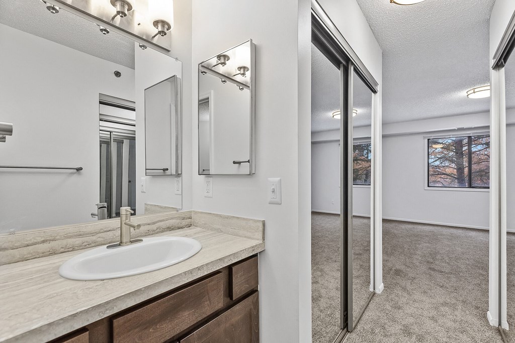 a bathroom with a sink and a mirror