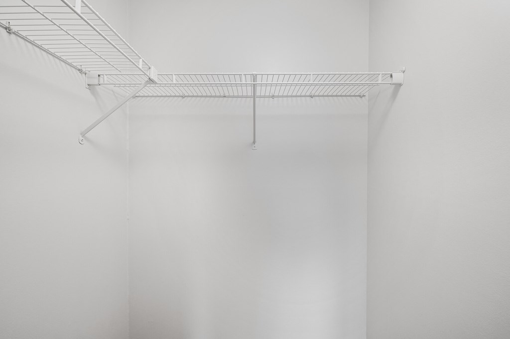 Renovated Unit Bedroom Closet