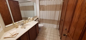 Large Bathrooms - Photo Gallery 11