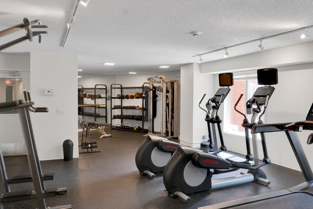 A gym with a variety of equipment including treadmills, weights, and a squat rack.