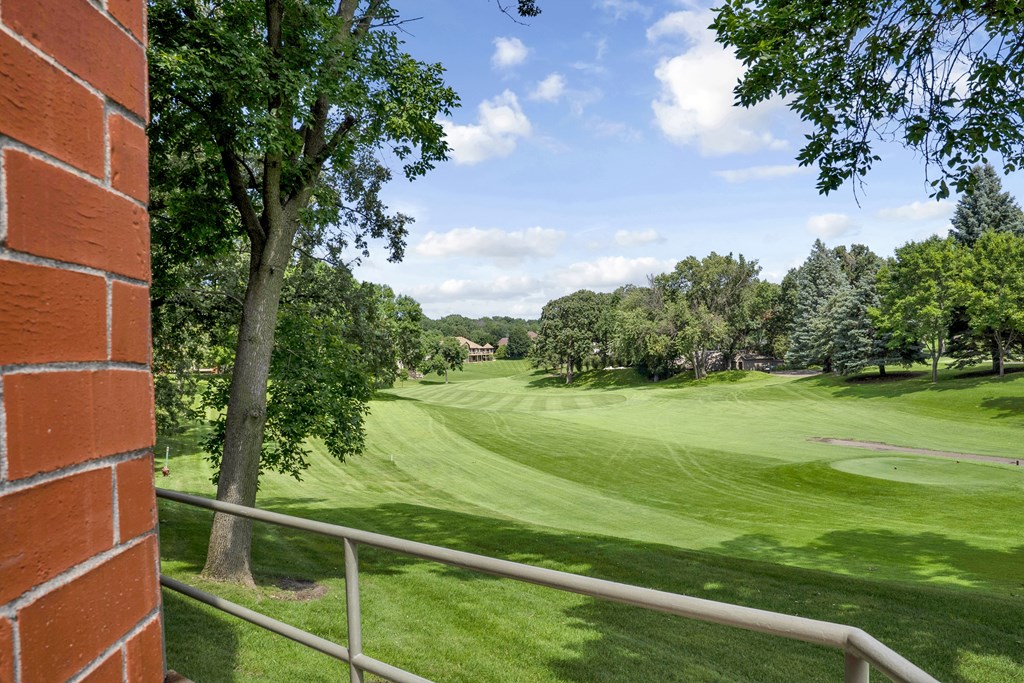 A view of a green lawn from a window.