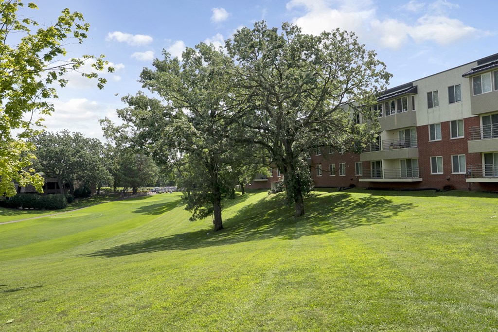 A tree in a grassy field with apartment buildings in the background.