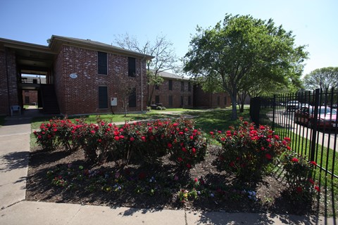 a garden in front of a brick building with a black fence