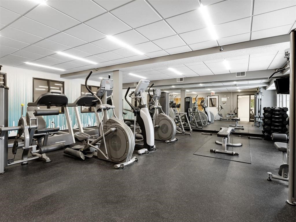 the gym is equipped with cardio equipment and weights