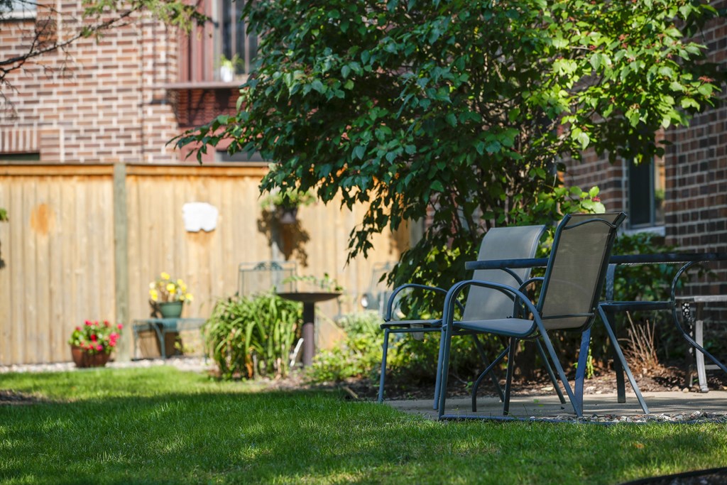 a yard with lawn chairs and a tree and a fence