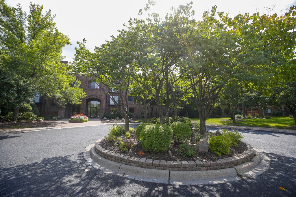 a roundabout with trees and plants in the middle of a street