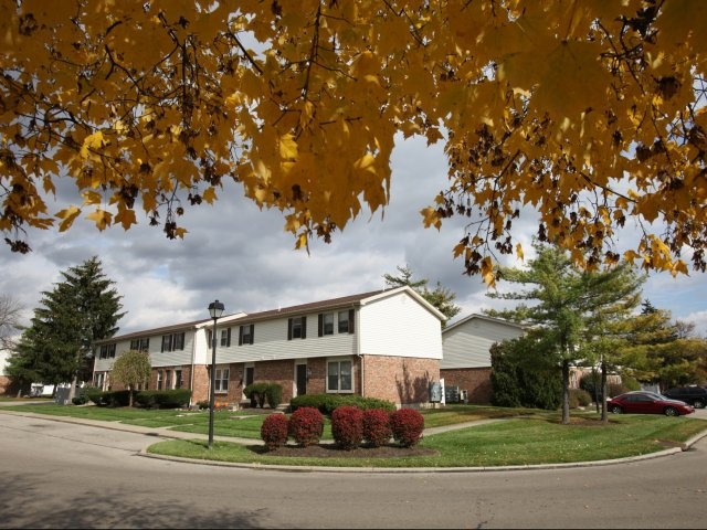 landscaping and chevy chase buildings