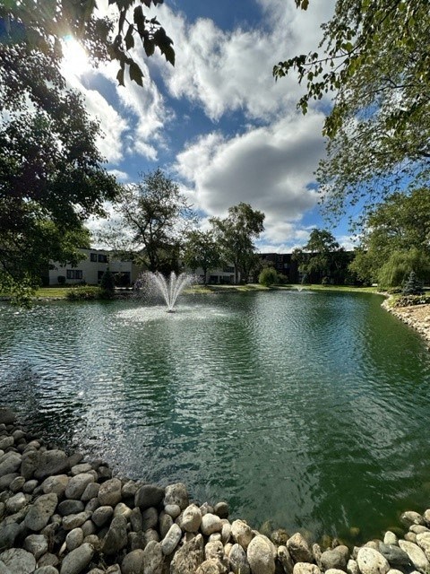 Serene Ponds & Fountains