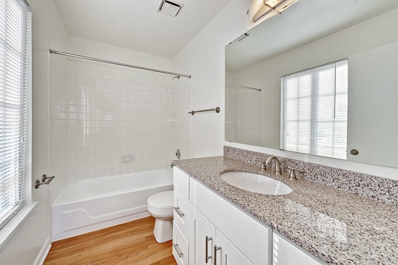 a bathroom with a sink and a toilet and a bath tub