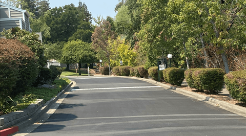 an empty street in a neighborhood with trees