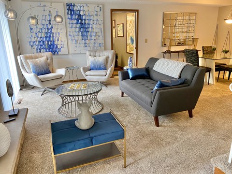 a living room with blue and white furniture and a rug