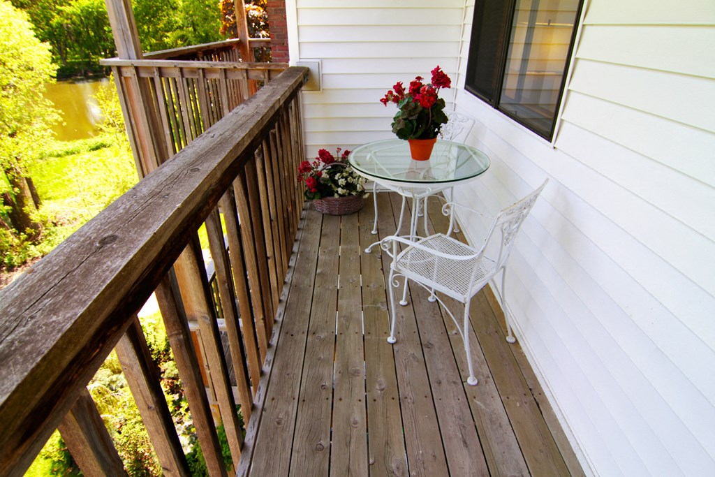 Spacious Patio