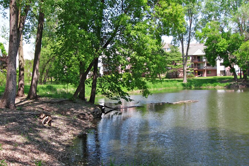 Scenic Pond Scenic Pond