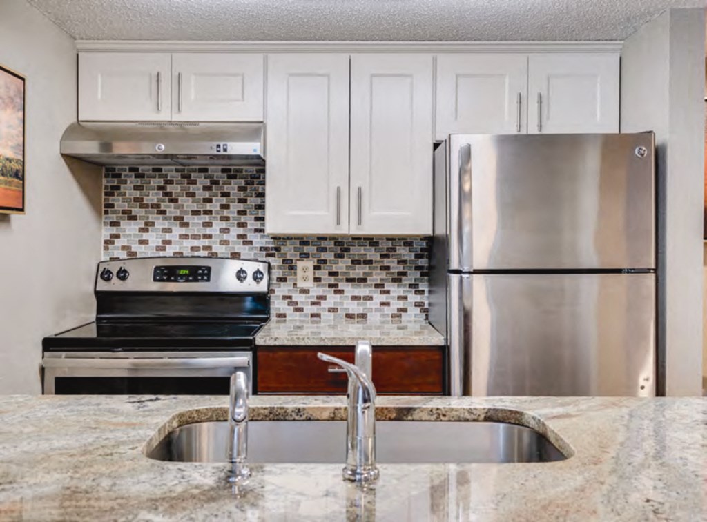 Renovated Unit Kitchen