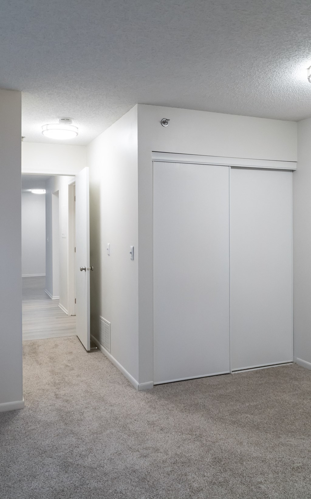 Carpet in the bedrooms