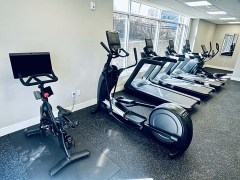 A gym with treadmills and exercise bikes.