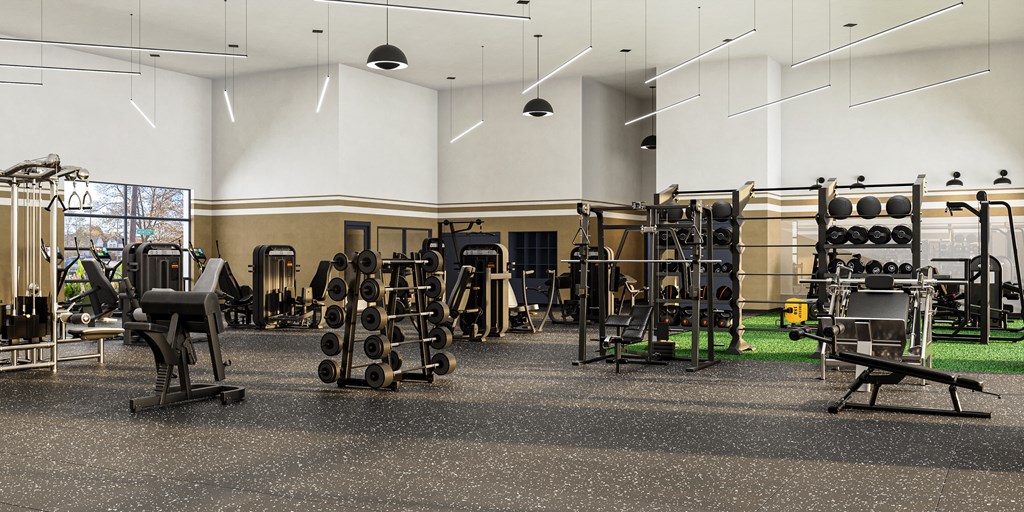 Free Weights; Elliptical; Universal Machine, Exercise bikes