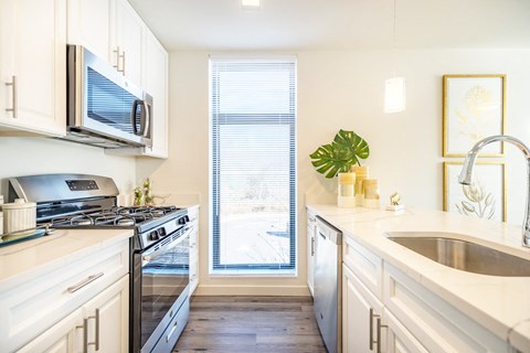 Sleek Stainless Steel Appliances