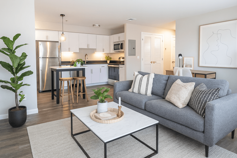 A living room with a grey couch, a white coffee table, and a plant.