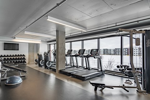 A gym with treadmills, weights and exercise equipment.