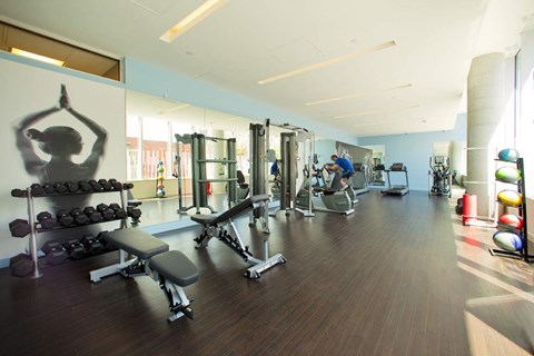 A gym with a variety of equipment including weights and exercise machines.