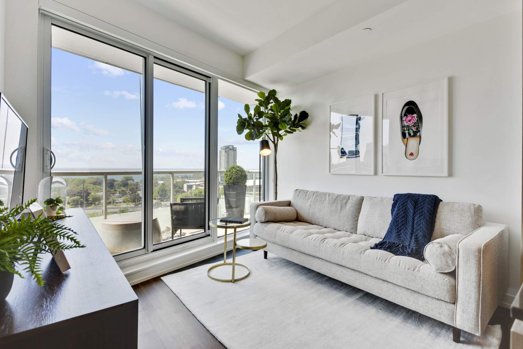 A living room with a couch, a potted plant, and pictures on the wall.