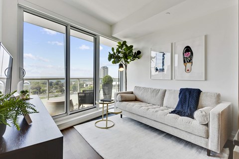 A living room with a couch, a potted plant, and pictures on the wall.