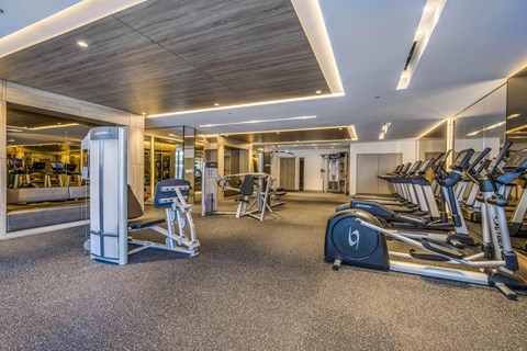 A gym with treadmills, elliptical machines, and other exercise equipment.