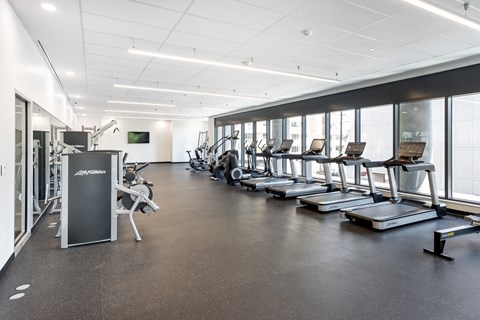 A gym with treadmills, weights, and exercise machines.