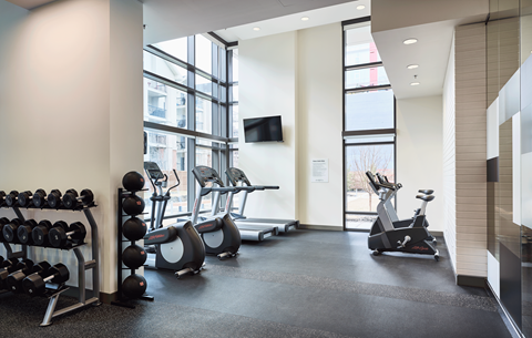 A gym with a row of dumbbells on the left and a row of exercise bikes on the right.