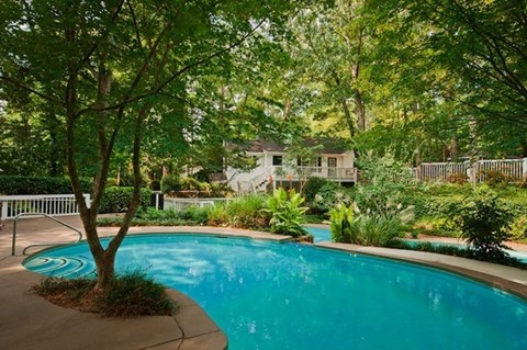 A swimming pool surrounded by green trees and plants.