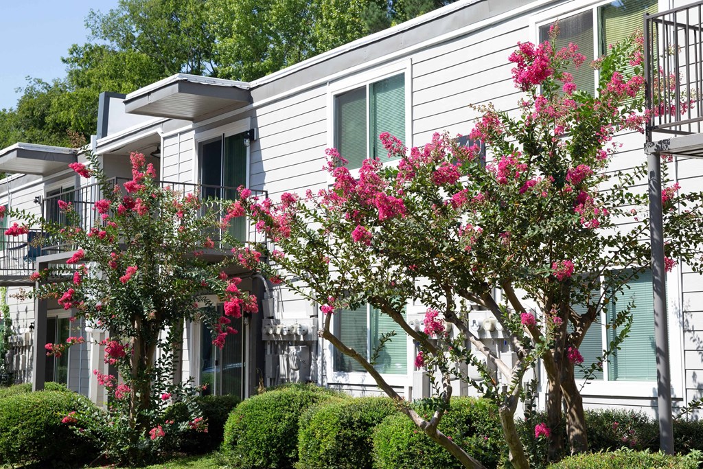 a white apartment building with pink flowers in front of it