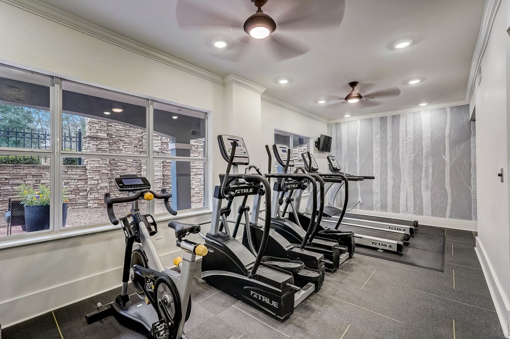 A room with a treadmill, a stationary bike, and a rowing machine.