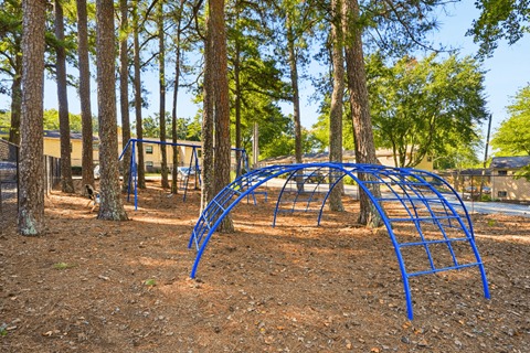 A playground structure in a wooded area.