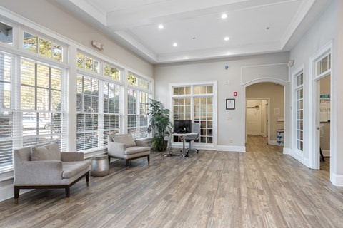 A living room with a couch, chair, and a plant.