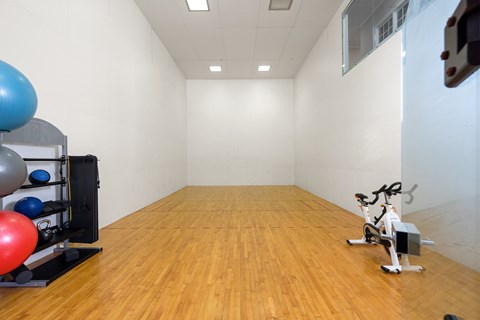 A room with wooden flooring and a row of exercise balls on the left side.