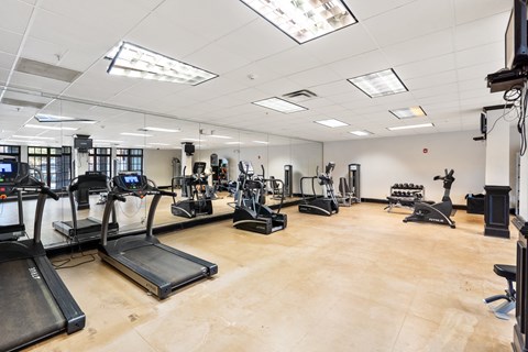 A gym with treadmills, elliptical machines, and other exercise equipment.