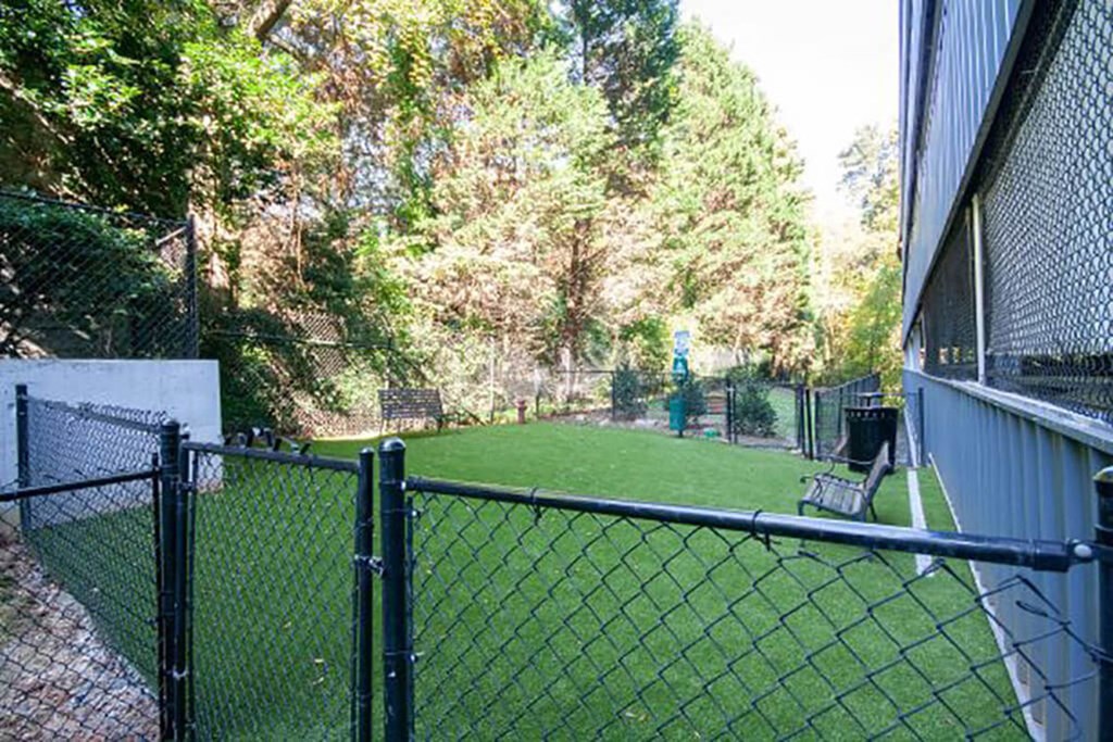 A black fence surrounds a green field.