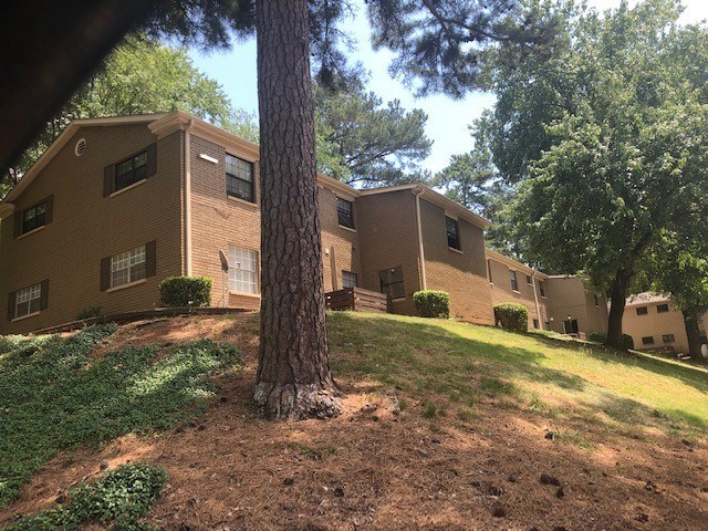 A tree stands in front of apartment buildings.