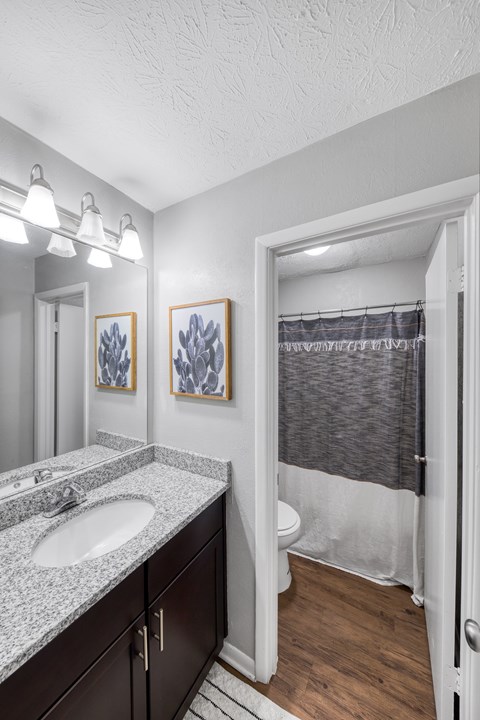 A bathroom with a white sink and a mirror.