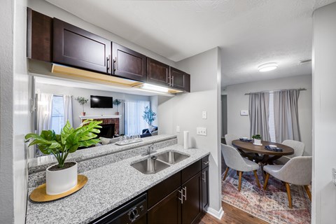 A kitchen with a sink, stove, and a potted plant on the counter.