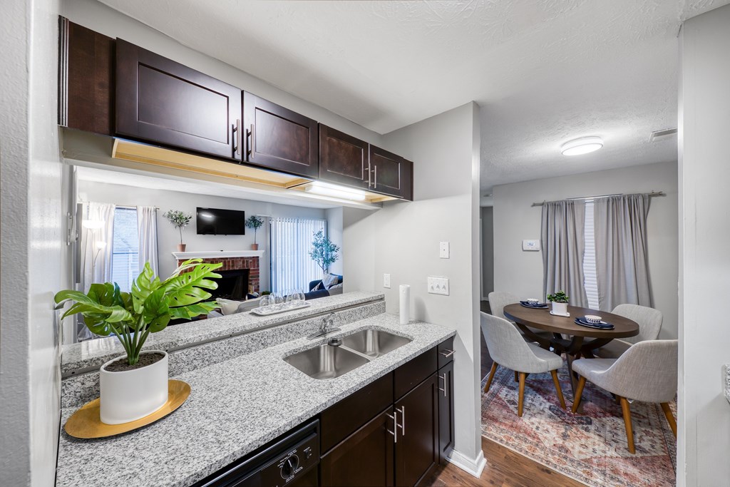 A kitchen with a sink, a counter, a plant, and a TV.