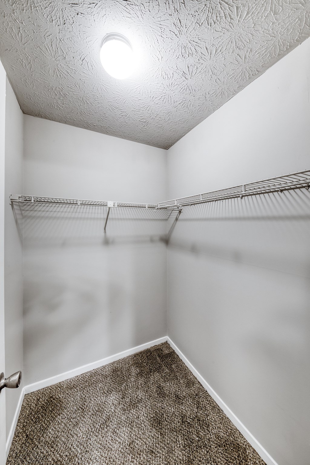 A white closet with a carpeted floor and a light on the ceiling.